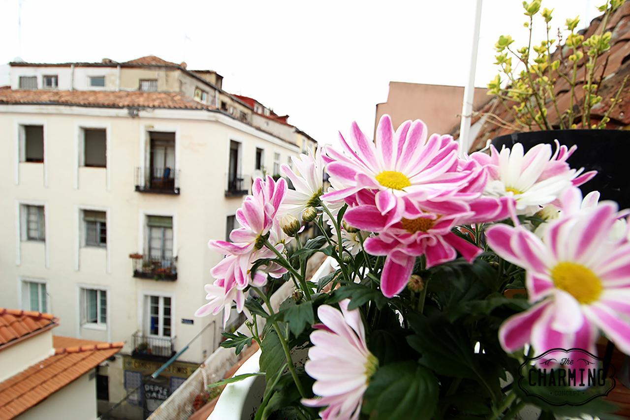Charming Oasis In The Centre Of Madrid Leilighet Eksteriør bilde